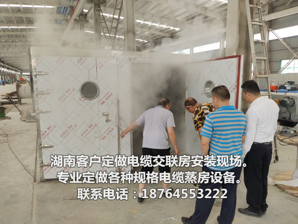 【创造，优势】供应大型电缆交联房，电缆厂蒸汽电缆蒸房生产定制，智能电缆交联房，陕西西安市未央区